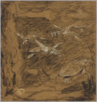 KT 1404
<br/>
Schildpadden
<br/>
<em>Dijsselhof, Gerrit Willem (1866-1924)</em>